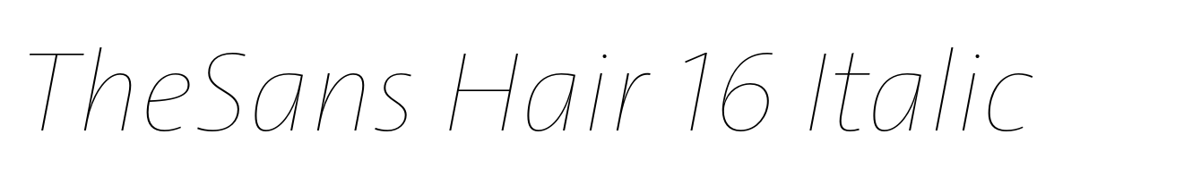 TheSans Hair 16 Italic
